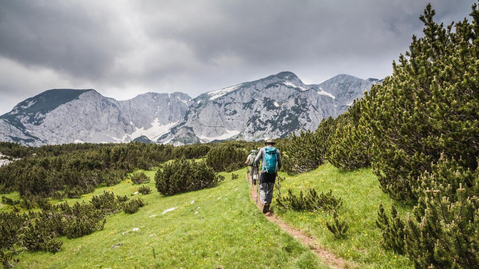 Turisticki Kompleks - Montana Tjentiste Dış mekan fotoğraf