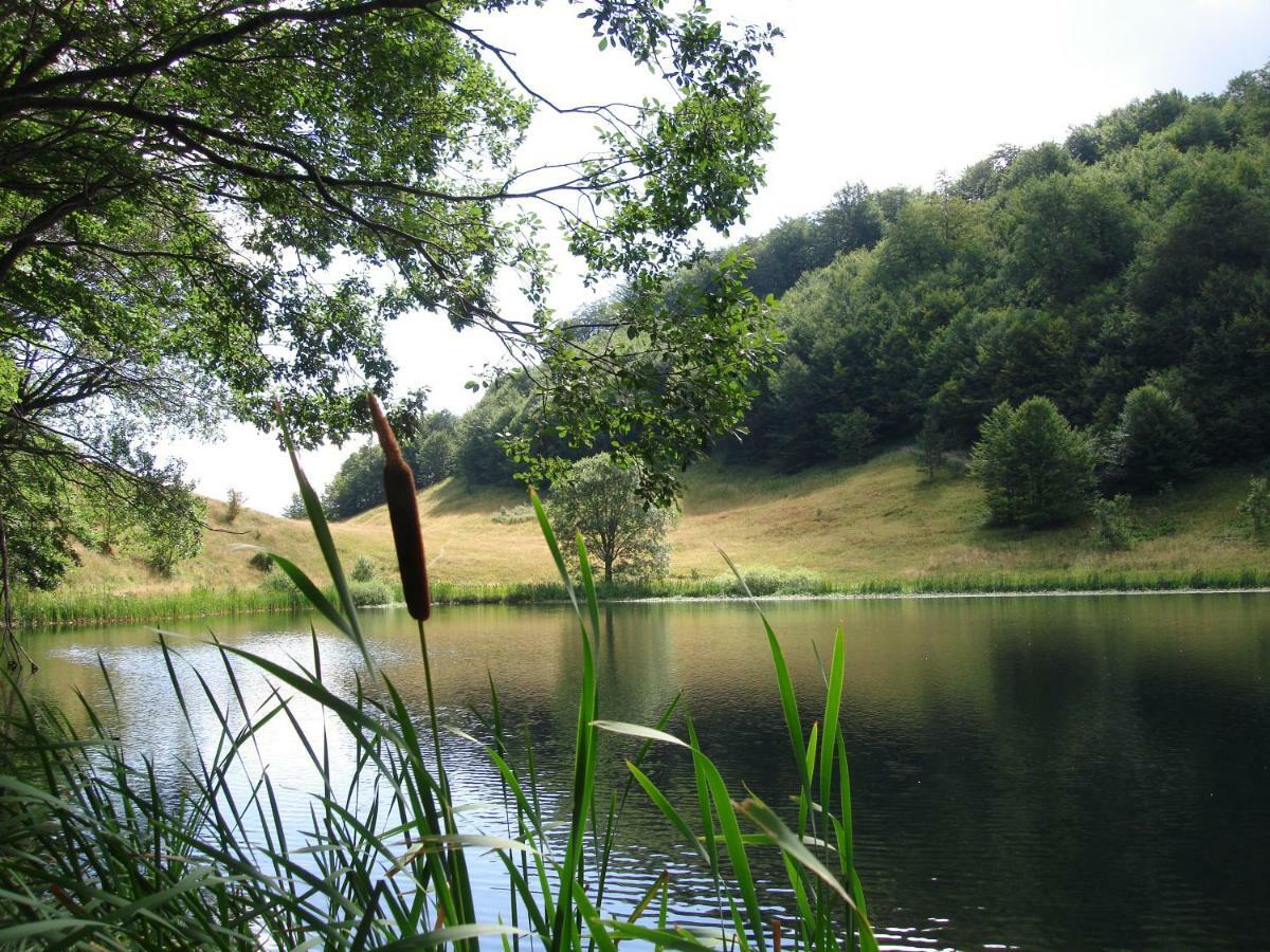 Turisticki Kompleks - Montana Tjentiste Dış mekan fotoğraf